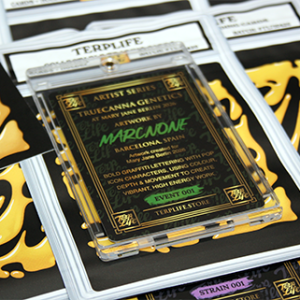 Alternative view of TerpLife collectable card series (1 pack)